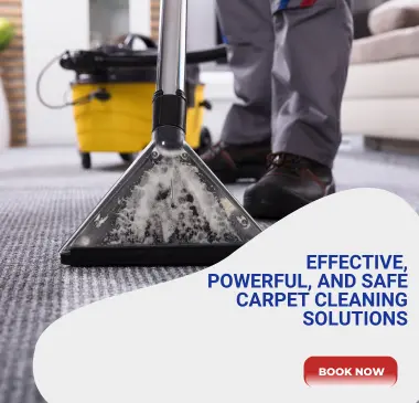 Safe, Powerful, and Effective Carpet Cleaning Safe, Powerful, and Effective Carpet Cleaning