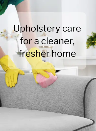 Premium Upholstery Cleaning Premium Upholstery Cleaning